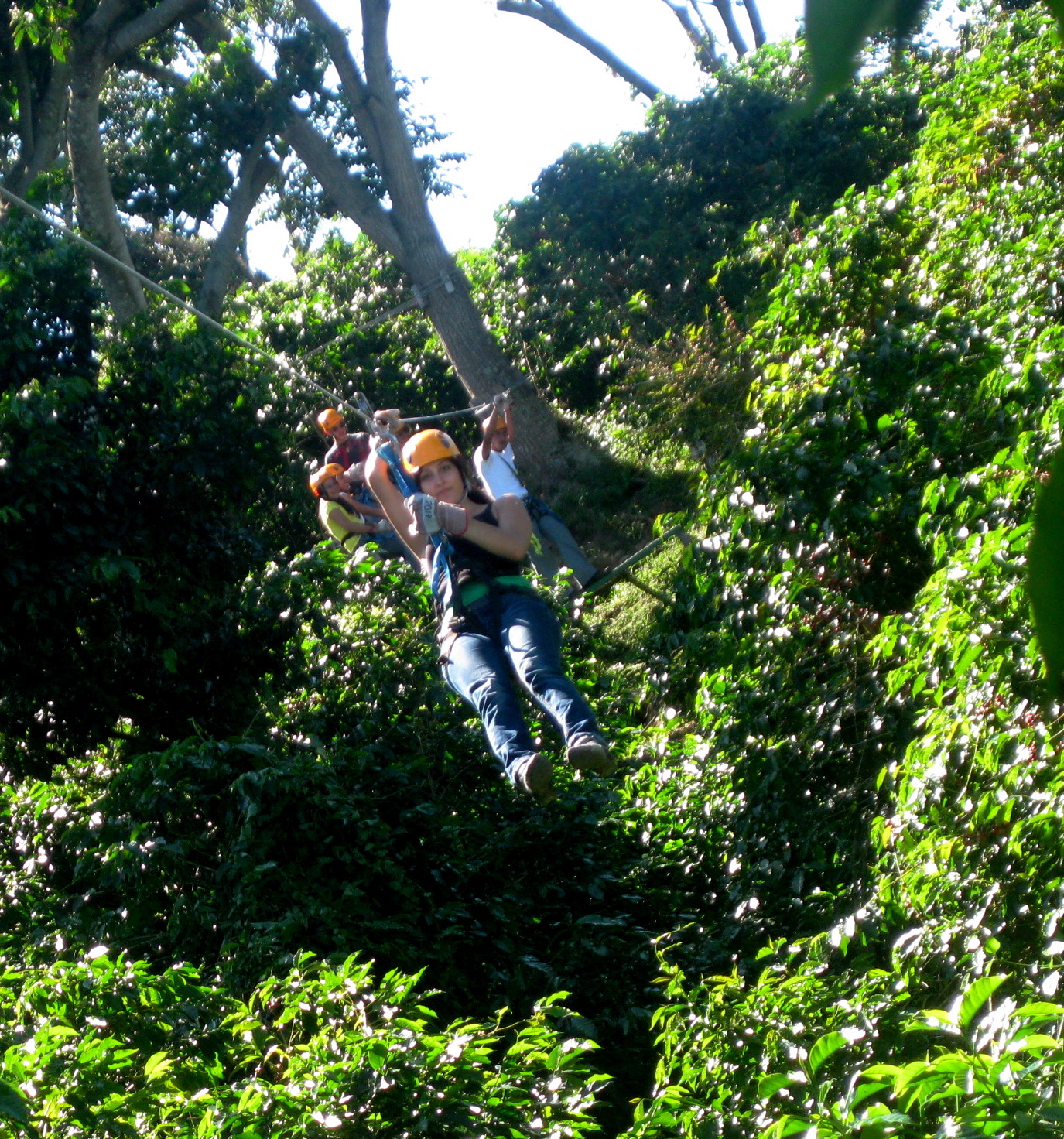 🪢 Canopy y Zipline