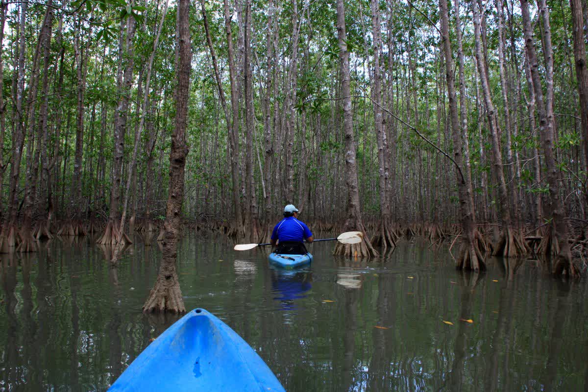 🛶 Kayak