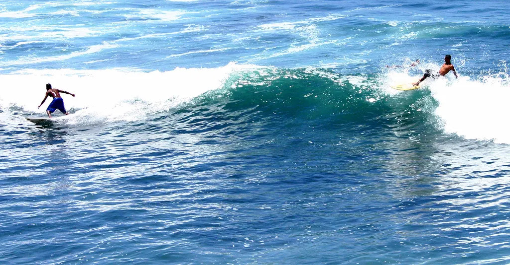 🏄 Surf
