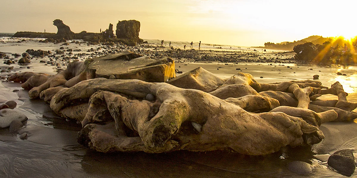 Playa El Tunco