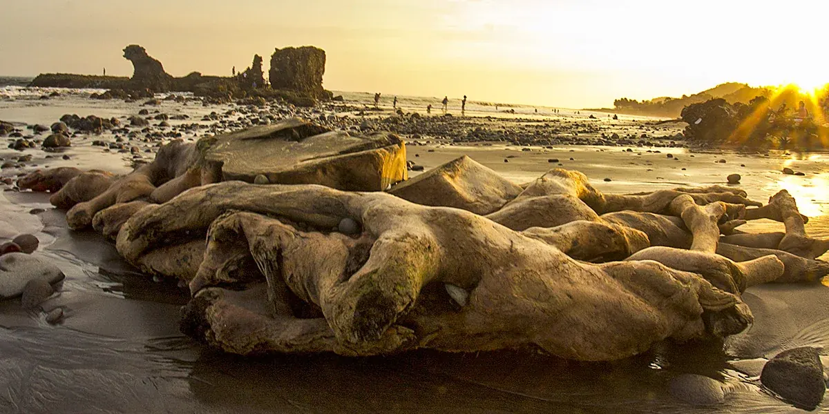 Playa El Tunco